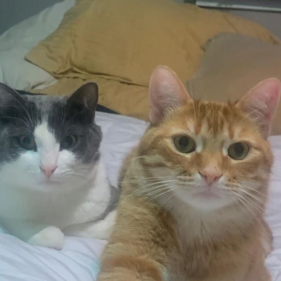 Meet your Posher, Heidi - Picture 1 of 1